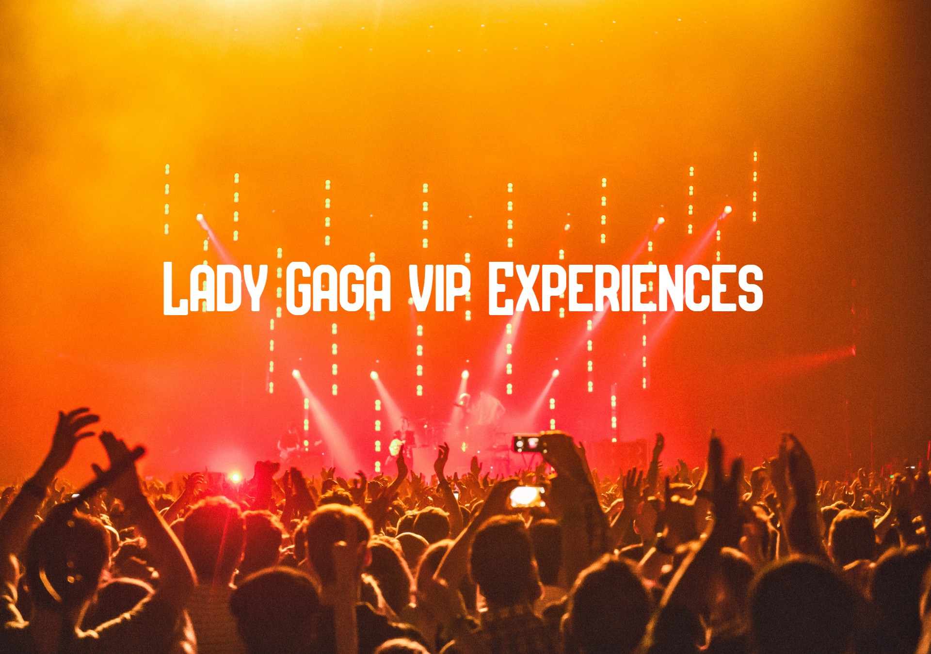 Lady Gaga VIP Tickets Meet and Greet
